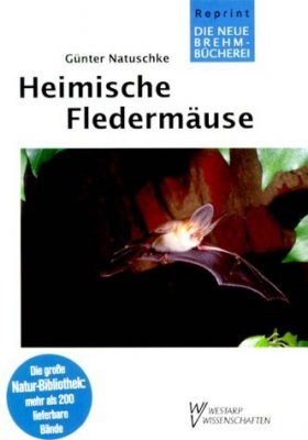Heimische Fledermäuse