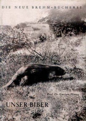 Unsere Biber (Beaver)