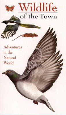 Collins Watch Guides: Wildlife of the Town