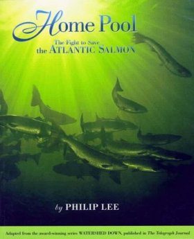 Home Pool