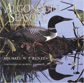 Algonquin Seasons