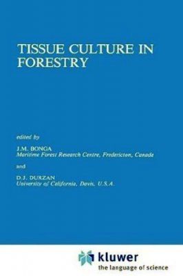 Tissue Culture in Forestry