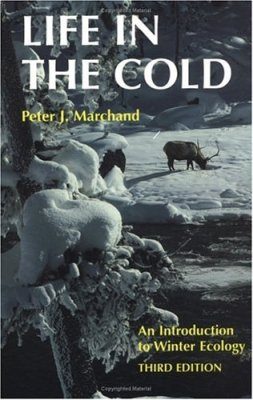 Life in the Cold