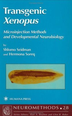 Transgenic Xenopus