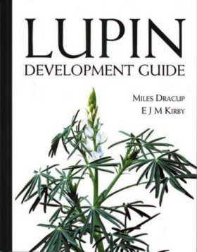 Lupin Development Guide