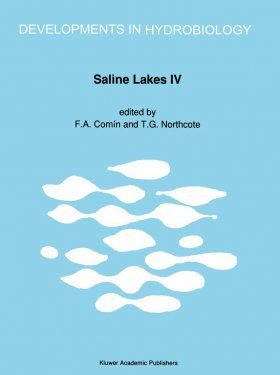 Saline Lakes IV