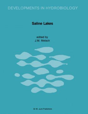 Saline Lakes III