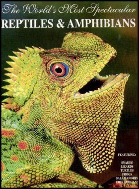 The World's Most Spectacular Reptiles and Amphibians