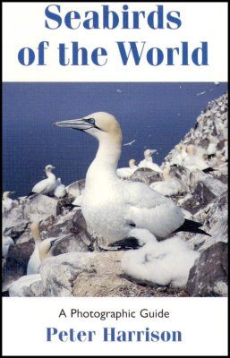 Seabirds of the World