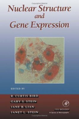 Nuclear Structure and Gene Expression
