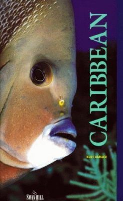 Caribbean