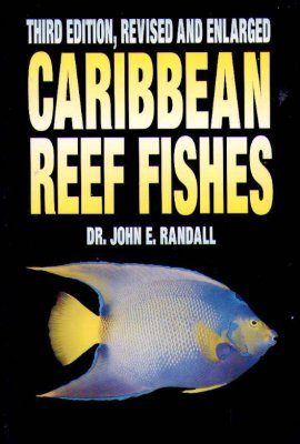 Caribbean Reef Fishes
