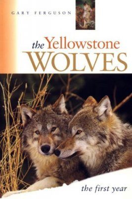 The Yellowstone Wolves