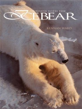 Journeys With the Icebear