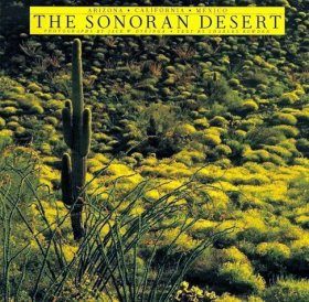 The Sonoran Desert