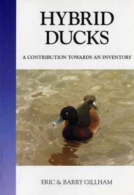 Hybrid Ducks