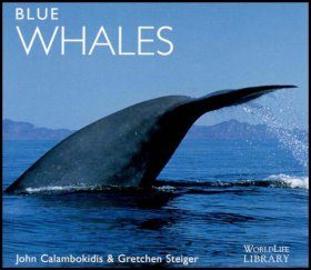 Blue Whales