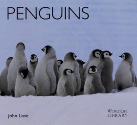 Penguins