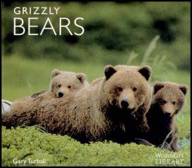 Grizzly Bears