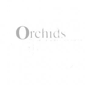 Orchids of the Tropical New World