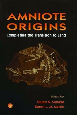 Amniote Origins