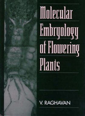 Molecular Embryology of Flowering Plants
