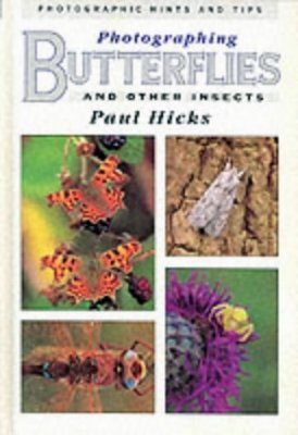 Photographing Butterflies and Other Insects