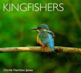 Kingfishers