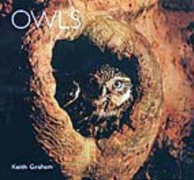 Owls
