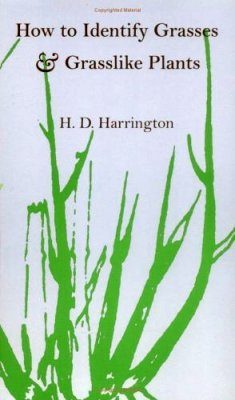 How to Identify Grass and Grasslike Plants