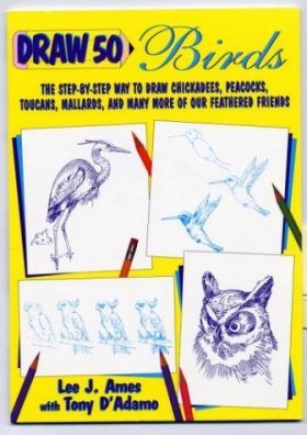 Draw 50 Birds