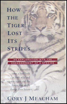 How the Tiger Lost its Stripes