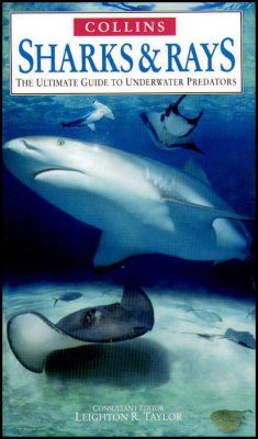 Collins Sharks and Rays