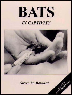 Bats in Captivity