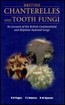 British Chanterelles and Tooth-Fungi