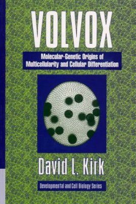 Volvox: Molecular Genetic Origins of Multicellularity and Cellular Differentiation