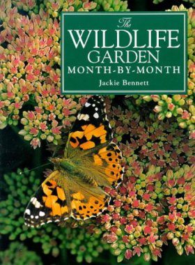 The Wildlife Garden
