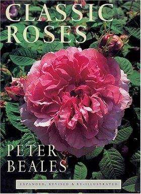 Classic Roses