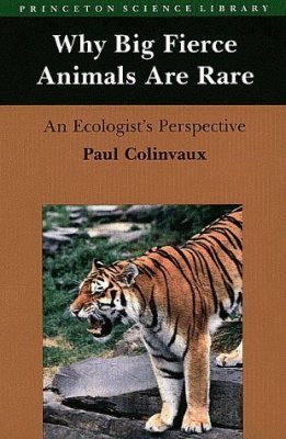 Why Big Fierce Animals Are Rare