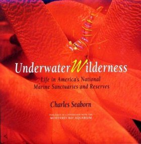 Underwater Wilderness