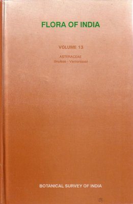 Flora of India, Volume 13: Asteraceae (Inuleae-Vernonieae)