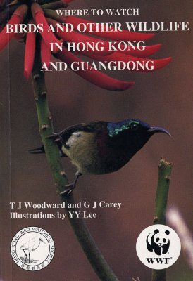 Where to Watch Birds and Other Wildlife in Hong Kong and Guangdong