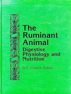 The Ruminant Animal