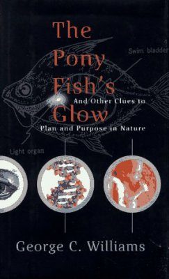 The Pony Fish's Glow