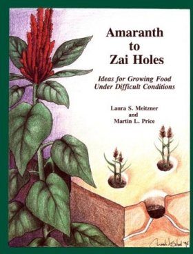 Amaranth to Zai Holes
