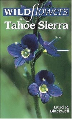 Wildflowers of the Tahoe Sierra