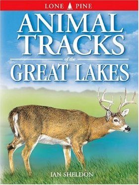 Animal Tracks of the Great Lakes