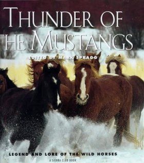 Thunder of the Mustangs