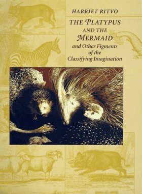 The Platypus and the Mermaid