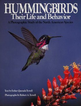 Hummingbirds: Their Life and Behavior